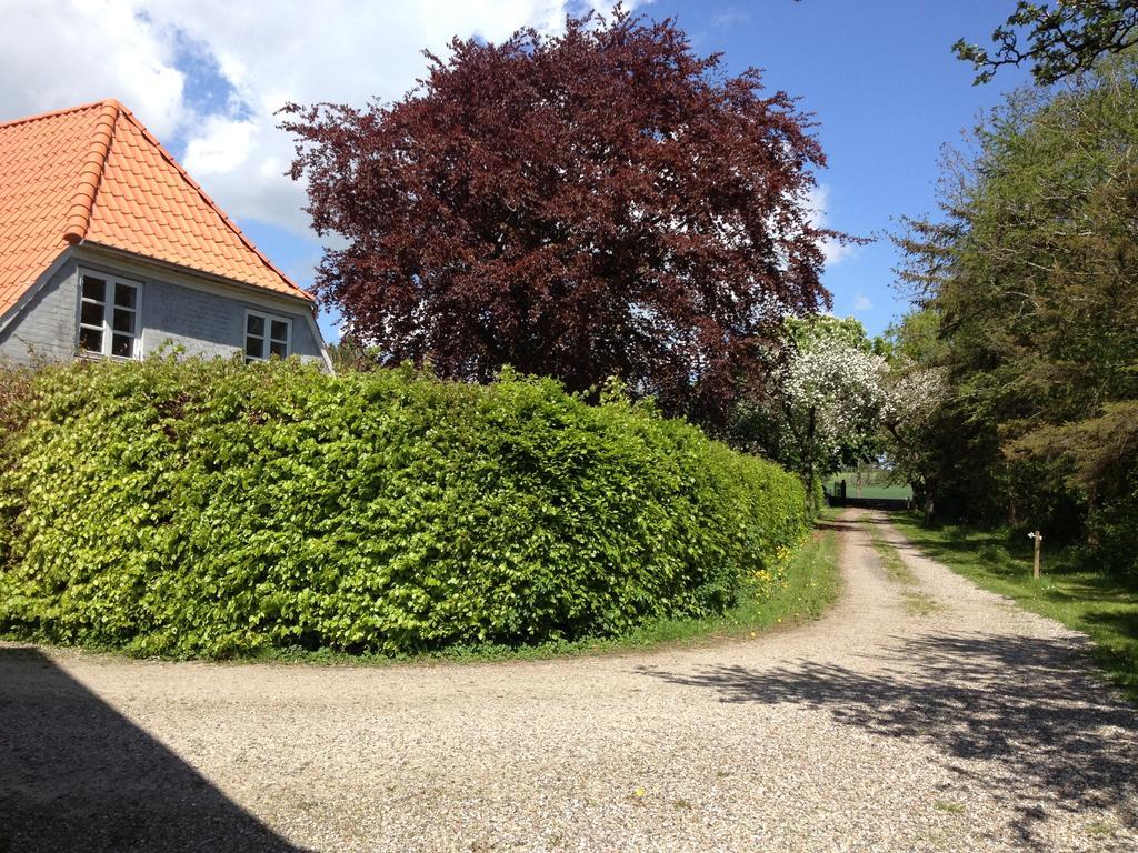 Kildegaarden Bed & Breakfast Frorup Exterior foto